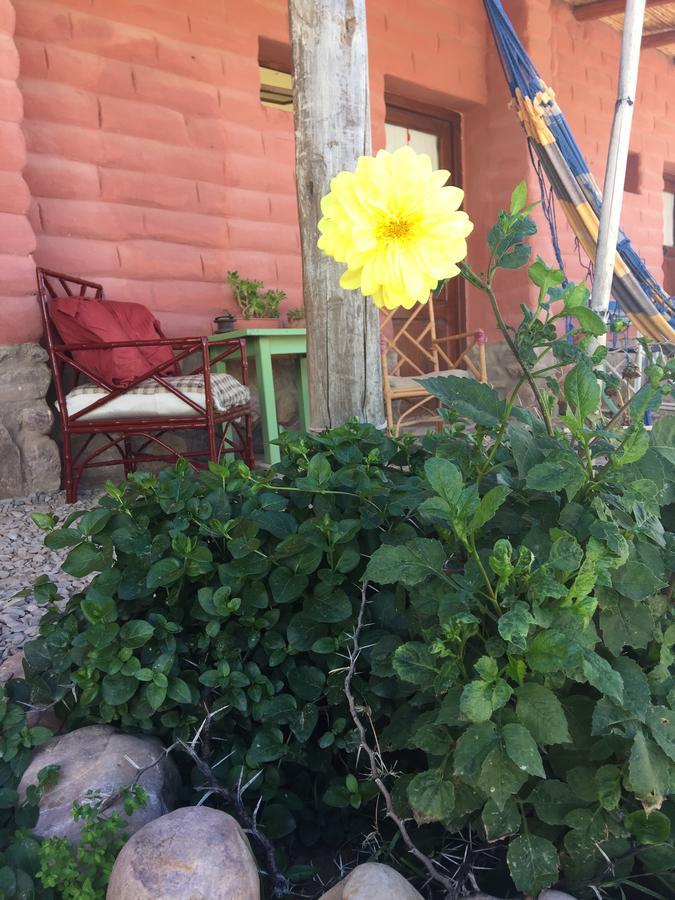 Casa Del Tantanakuy Bed & Breakfast Humahuaca Dış mekan fotoğraf